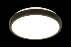 Aneta Lighting Kjøkkenbelysning Tak|Taklamper / Takplafonder<Anillo 30 cm taklampe 12W dimbar 3000 Kelvin