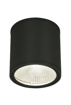 Aneta Lighting Taklamper Ute|Utendørs Downlights<Argo taklampe utendørs 7W 2700 Kelvin -