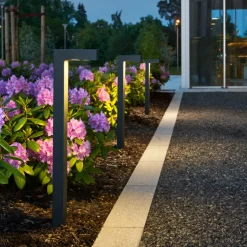 Norlys Lightup-Pris|Pullert<Asker 1314 Grafitt