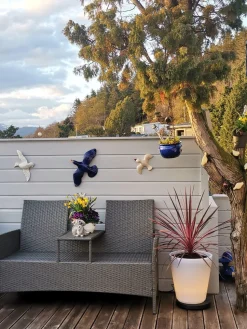 Konstsmide Led-Baller Og Krukker<Assisi blomsterpotte stor med LED-lys