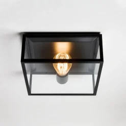 Astro Lighting Taklamper Ute|Utendørs Downlights<Bronte taklampe for utendørsbruk - Matt