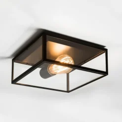 Astro Lighting Taklamper Ute|Utendørs Downlights<Bronte taklampe for utendørsbruk - Matt