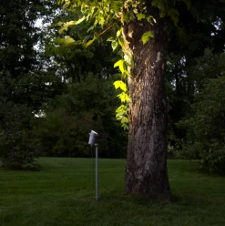 Star Trading Spot På Spyd<Focus uplight på spyd 67 cm utendørs GU10 IP44 -