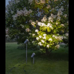 Star Trading Spot På Spyd<Focus uplight på spyd 67 cm utendørs GU10 IP44 -