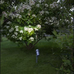 Star Trading Spot På Spyd<Focus uplight på spyd 30 cm utendørs GU10 IP44 -