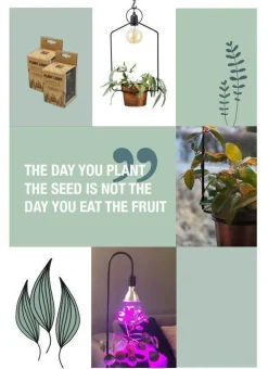 Pr home of Scandinavia Ab Led-Pærer Plantelys|Led-Pærer E27 Sokkel<Grow plantelys IP65 E27 - 12 Watt