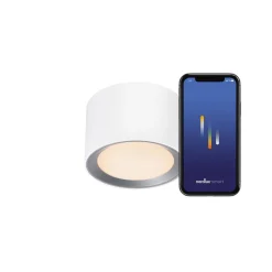 Nordlux Baderomsbelysning Tak|Kjøkkenbelysning Tak<Landon Smart taklampe 2700-6500 Kelvin 8W IP44