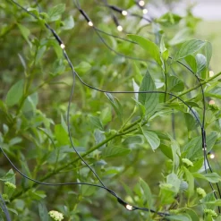 Marksløjd Garden 24 System<Lysnett 2x2m - Garden 24 -