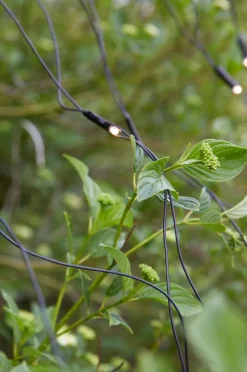 Marksløjd Garden 24 System<Lysnett 2x2m - Garden 24 -