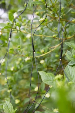 Marksløjd Garden 24 System<Lysnett 2x2m - Garden 24 -