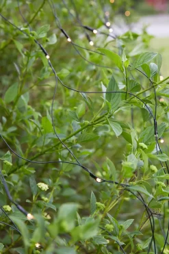 Marksløjd Garden 24 System<Lysnett 2x2m - Garden 24 -