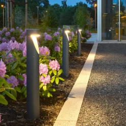 Norlys Lightup-Pris|Pullert<Oppland pullert 1321