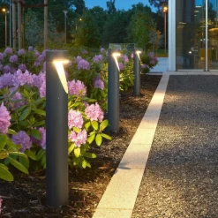 Norlys Lightup-Pris|Pullert<Oppland pullert 1321