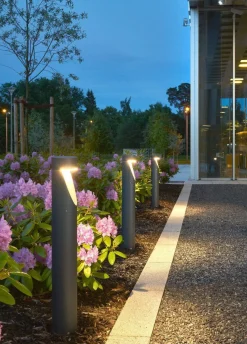 Norlys Lightup-Pris|Pullert<Oppland pullert 1321