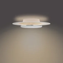 Philips Kjøkkenbelysning Tak|Taklamper / Takplafonder<Garnet CL580 taklampe 40 cm 30W 2700K SceneSwitch