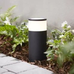 Philips Hue Pullert|Philips Hue<Calla pullert white ambiance & color luminairs 25 cm - Forlenger