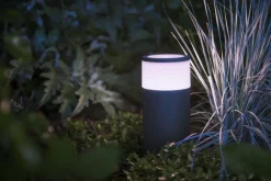 Philips Hue Pullert|Philips Hue<Calla pullert white ambiance & color luminairs 25 cm - Forlenger