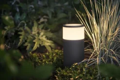 Philips Hue Pullert|Philips Hue<Calla pullert white ambiance & color luminairs 25 cm - Forlenger