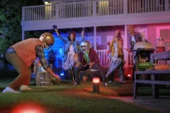 Philips Hue Pullert|Philips Hue<Calla pullert white ambiance & color luminairs 25 cm - Forlenger