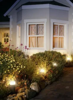 Philips Hue Pullert|Philips Hue<Calla pullert white ambiance & color luminairs 25 cm - Forlenger