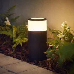 Philips Hue Pullert|Philips Hue<Calla pullert white ambiance & color luminairs 25 cm - Forlenger