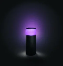 Philips Hue Pullert|Philips Hue<Calla pullert white ambiance & color luminairs 25 cm - Forlenger