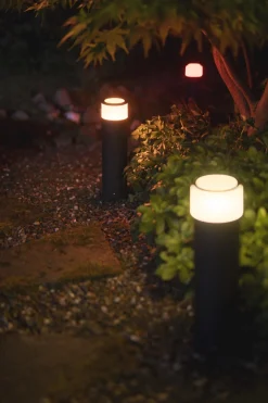 Philips Hue Pullert|Philips Hue<Calla pullert white ambiance & color luminairs 40 cm - Forlenger