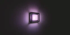 Philips Hue Utelamper - Veggskjold / Plafond|Philips Hue<Econic utendørs vegg/tak 3 white ambiance & color luminairs