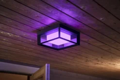 Philips Hue Utelamper - Veggskjold / Plafond|Philips Hue<Econic utendørs vegg/tak 3 white ambiance & color luminairs