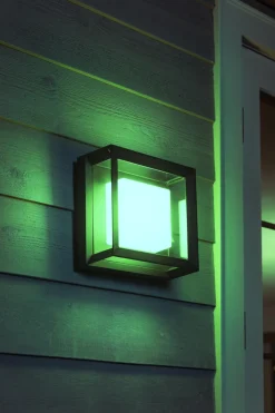 Philips Hue Utelamper - Veggskjold / Plafond|Philips Hue<Econic utendørs vegg/tak 3 white ambiance & color luminairs