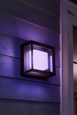 Philips Hue Utelamper - Veggskjold / Plafond|Philips Hue<Econic utendørs vegg/tak 3 white ambiance & color luminairs