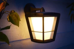 Philips Hue Utelamper - Veggskjold / Plafond|Philips Hue<Econic utendørs vegg white ambiance & color luminairs