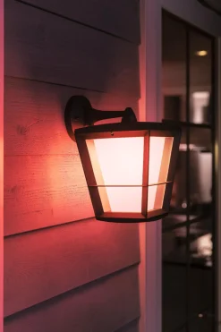 Philips Hue Utelamper - Veggskjold / Plafond|Philips Hue<Econic utendørs vegg white ambiance & color luminairs