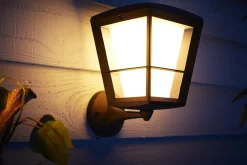 Philips Hue Utelamper - Veggskjold / Plafond|Philips Hue<Econic utendørs vegg 2 white ambiance & color luminairs