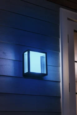 Philips Hue Utelamper - Veggskjold / Plafond|Philips Hue<Impress large vegglampe white ambiance & color luminaires