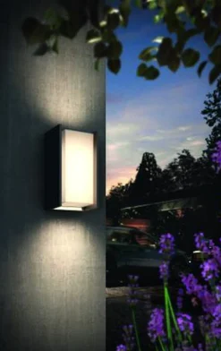 Philips Hue Utelamper - Veggskjold / Plafond|Philips Hue<Outdoor Turaco vegglampe, antrasitt