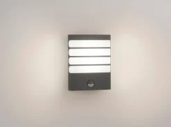 Philips Utelamper - Veggskjold / Plafond<myGarden Raccoon vegglampe utendørs 3W IP44 m/bevegelses sensor IR