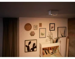 Philips Kjøkkenbelysning Tak|Spotter & Skinner<myLiving dobbel takspot 2x4,5W warmglow