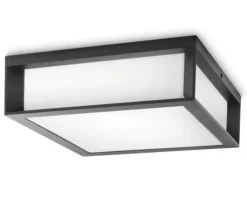 Philips Utelamper - Veggskjold / Plafond<Skies vegg/taklampe utendørs IP44 E27