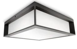 Philips Utelamper - Veggskjold / Plafond<Skies vegg/taklampe utendørs IP44 E27