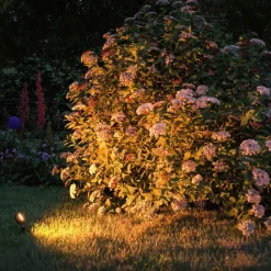 Paulmann Spot På Spyd|Plug & Shine System<Plug & Shine Sting spot med spyd 6,4W 3000 Kelvin IP67 - 3 pakning utbyggingssett