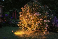 Paulmann Spot På Spyd|Plug & Shine System<Plug & Shine Sting spot med spyd 6,4W 3000 Kelvin IP67