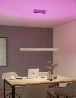 Paulmann Kjøkkenbelysning Tak|Takpendler<Raiko takpendel 19/6W 2700-6500 Kelvin RGB med fjernkontroll