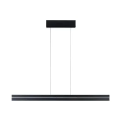 Paulmann Kjøkkenbelysning Tak|Takpendler<Raiko takpendel 19/6W 2700-6500 Kelvin RGB med fjernkontroll