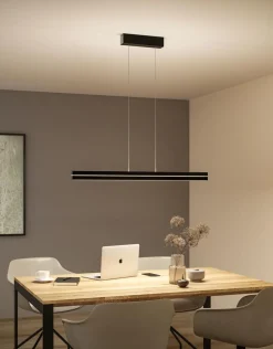 Paulmann Kjøkkenbelysning Tak|Takpendler<Raiko takpendel 19/6W 2700-6500 Kelvin RGB med fjernkontroll