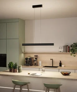 Paulmann Kjøkkenbelysning Tak|Takpendler<Raiko takpendel 19/6W 2700-6500 Kelvin RGB med fjernkontroll