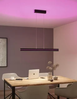 Paulmann Kjøkkenbelysning Tak|Takpendler<Raiko takpendel 19/6W 2700-6500 Kelvin RGB med fjernkontroll