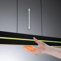 Paulmann Kjøkkenbelysning Tak|Takpendler<Raiko takpendel 19/6W 2700-6500 Kelvin RGB med fjernkontroll