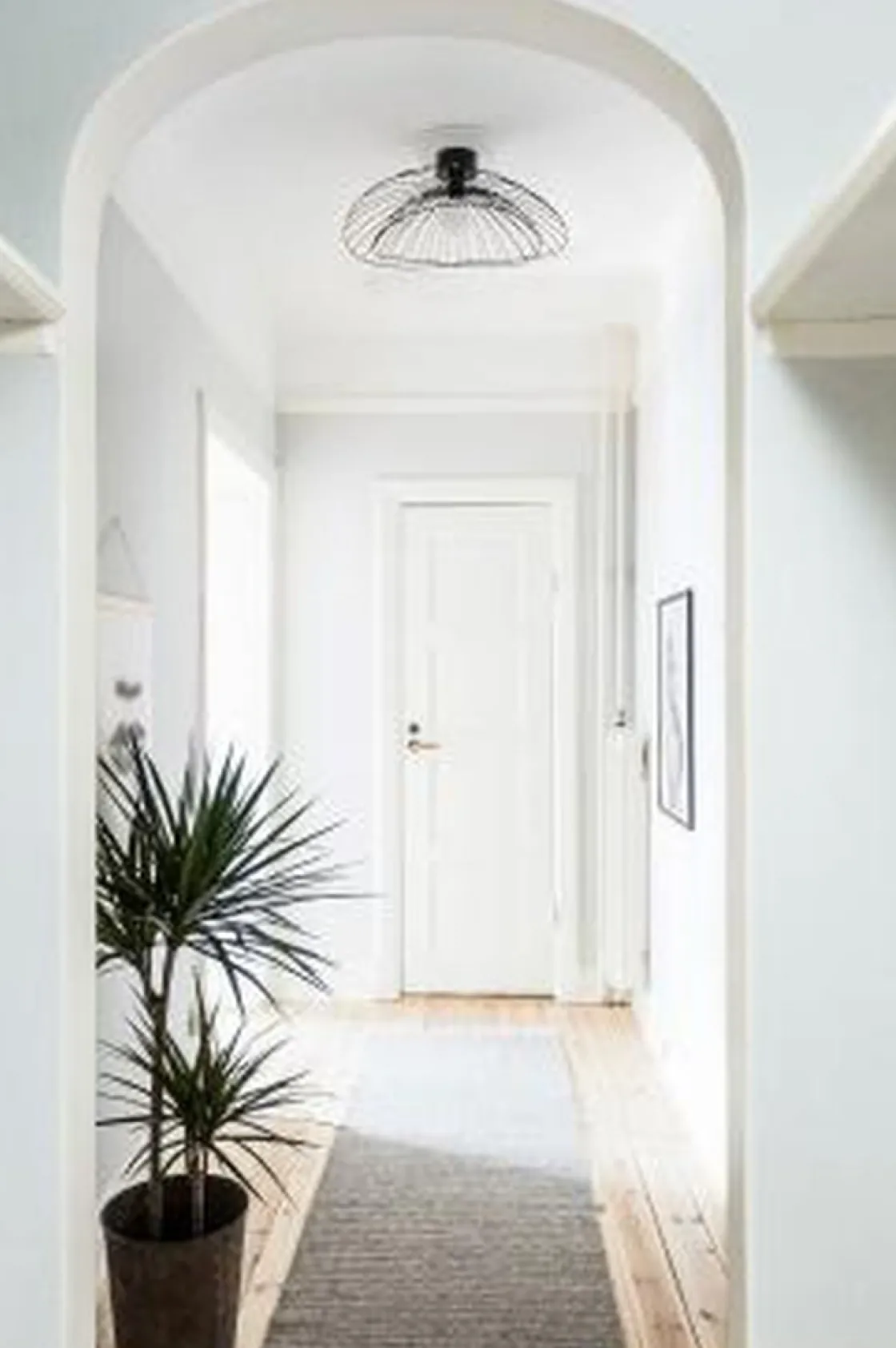 Globen Lighting Kjøkkenbelysning Tak|Taklamper / Takplafonder<Ray tak/vegglampe -