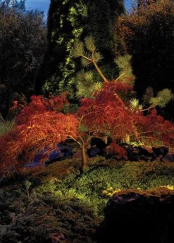 Norlys Lightup-Pris|Uplights<Rena 1551 uplight firkantet IP68 5,5W